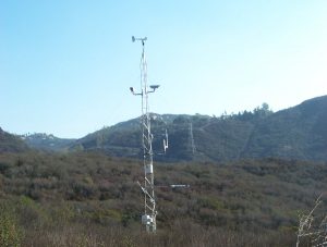 A tower emerging from a shrubby landscape